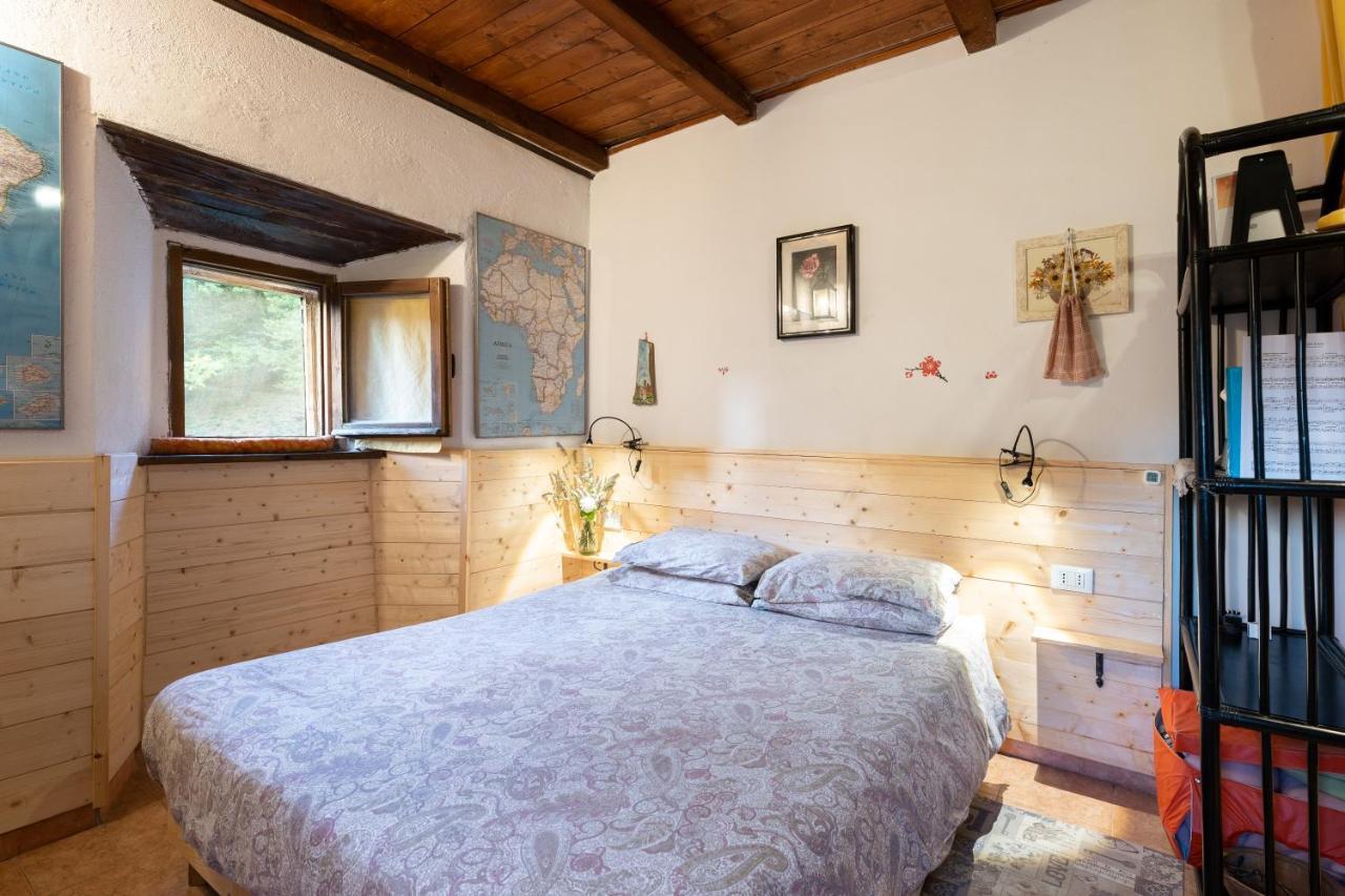 La Casa Nel Bosco-Senza Auto Guest House Ponte della Venturina Exterior photo