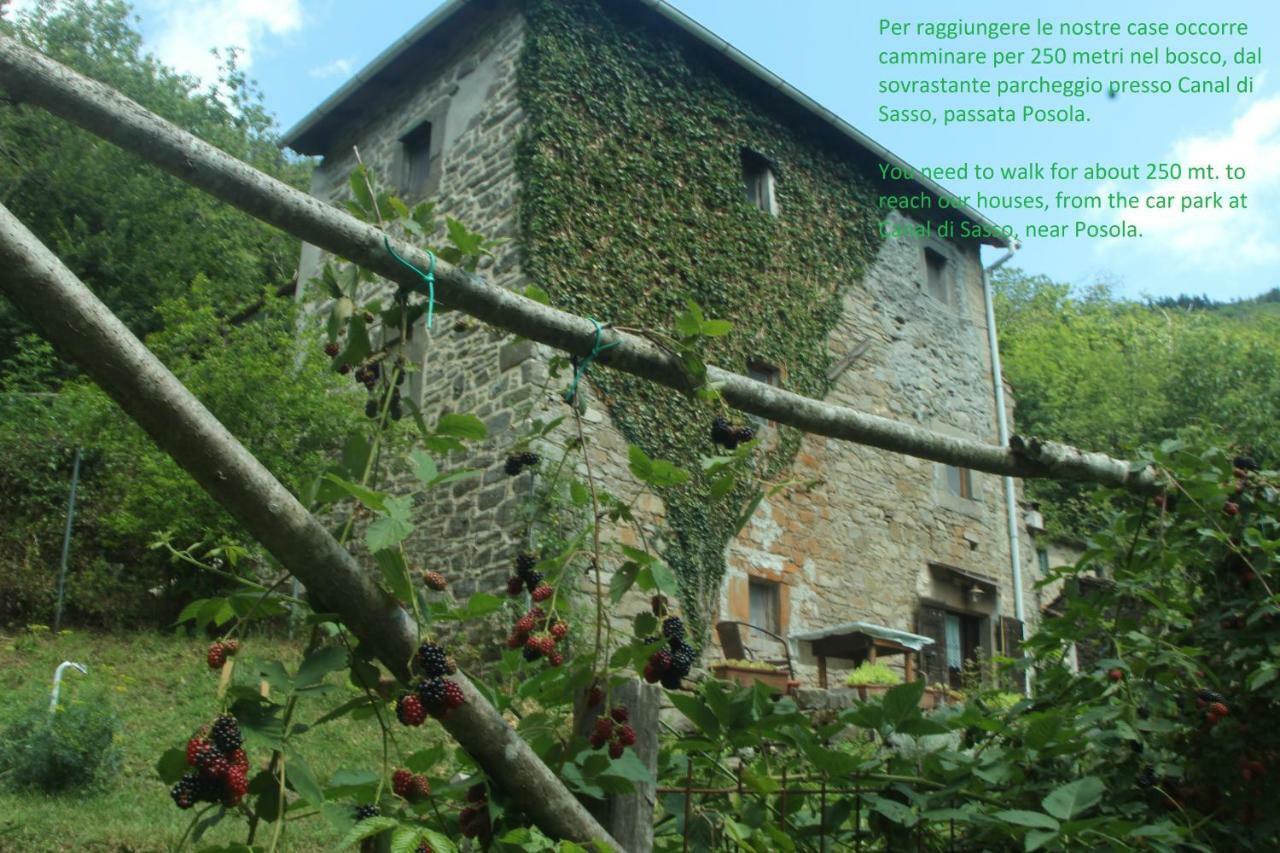 La Casa Nel Bosco-Senza Auto Guest House Ponte della Venturina Exterior photo